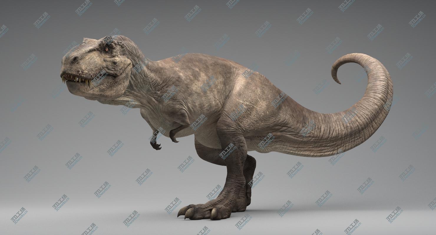 images/goods_img/20210113/Tyrannosaurus Rex Rigged/3.jpg